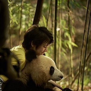 Foto O Menino e o Panda