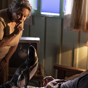 Foto Meu Amigo Pinguim