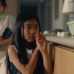 Foto Folhas Delicadas