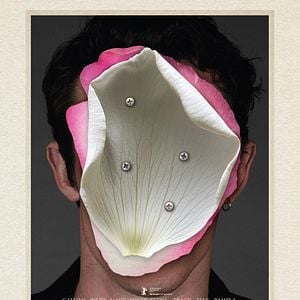 Foto Rosebush Pruning