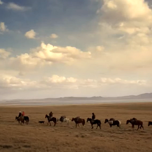 Foto O verdadeiro Appaloosa