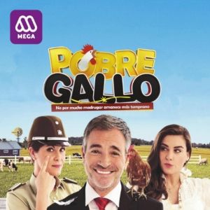 Foto Pobre Gallo