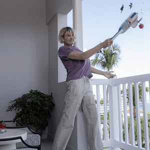 Foto As Quatro Estações do Ano