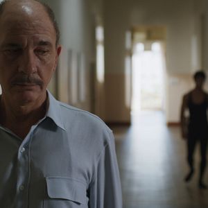 Foto Um Lobo Entre Os Cisnes