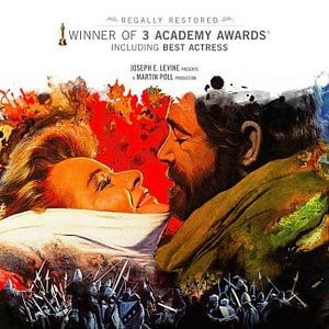 Foto O Leão no Inverno