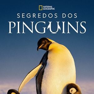 Foto Segredos dos Pinguins