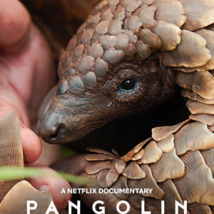 Foto Pangolim: A Viagem de Kulu