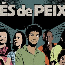 Foto Pés de Peixe