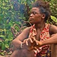 Foto Floresta dos Espíritos Dançantes