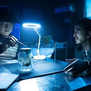 Foto Sting: Aranha Assassina