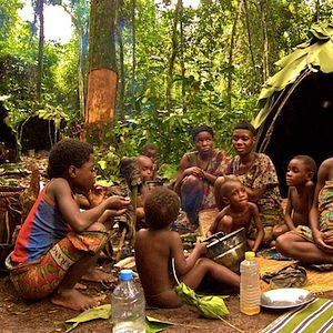 Foto Floresta dos Espíritos Dançantes