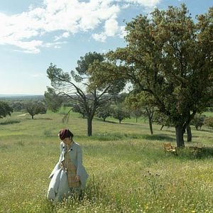 Foto A Dama de Companhia