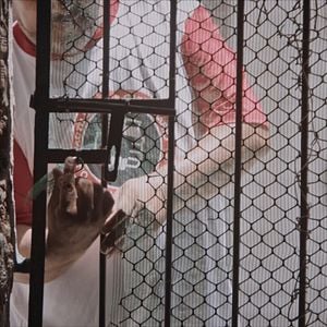 Foto O Grito - Regime Disciplinar Diferenciado