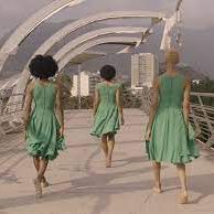 Foto Pássaro Memória