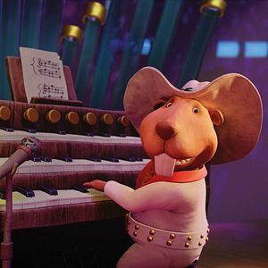 Foto A Raposa e a Lebre Salvam a Floresta