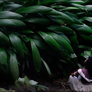 Foto O Céu Não Sabe Meu Nome