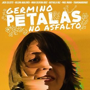 Foto Germino Pétalas no Asfalto