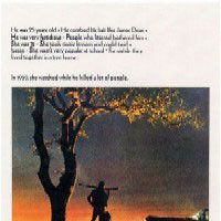 Foto Terra de Ninguém