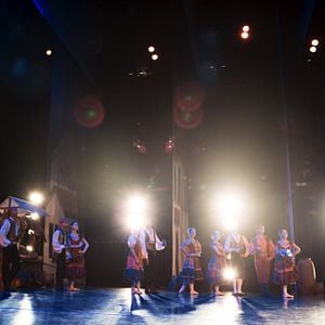 Foto Um Lobo Entre Os Cisnes