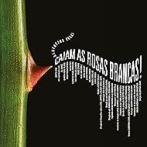 Foto Caiam as rosas brancas!