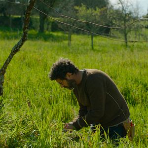 Foto Uma Quinta Portuguesa