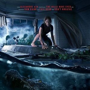 Foto Predadores Assassinos