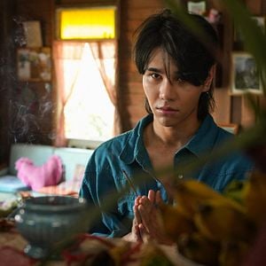 Foto O Paraíso dos Espinhos