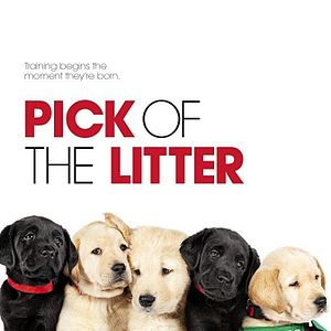 Foto Pick of the Litter