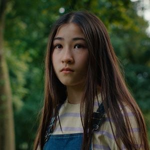 Foto Folhas Delicadas