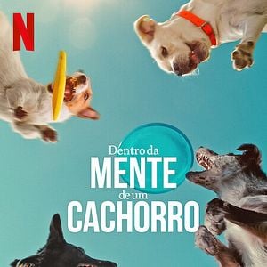 Foto Dentro da Mente de um Cachorro