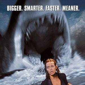 Foto Do Fundo do Mar