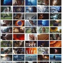 Foto A Árvore da Vida