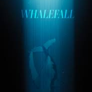 Foto Whalefall