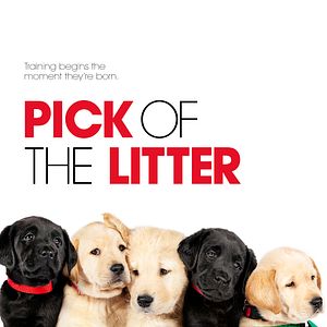 Foto Pick of the Litter