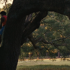 Foto Todas as Estradas de Terra Têm Gosto de Sal