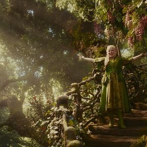 Foto A Maravilhosa Árvore Encantada