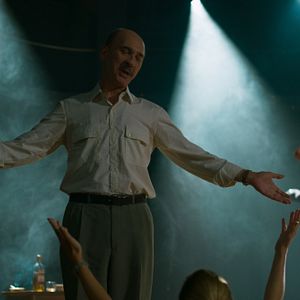 Foto Um Lobo Entre Os Cisnes