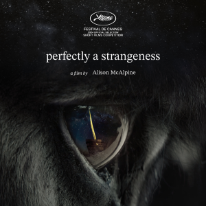 Foto Perfectly a Strangeness
