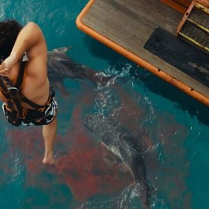 Foto Animais Perigosos