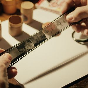 Foto Bestiari, erbari, lapidari