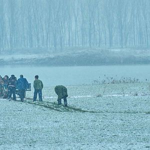 Foto  Living the Land