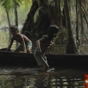 Foto Pisar Suavemente na Terra