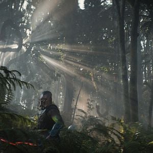 Foto Predador: Terras Selvagens