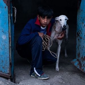 Foto Cidade sem Sonho