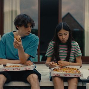 Foto Folhas Delicadas