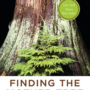 Foto Finding the Mother Tree