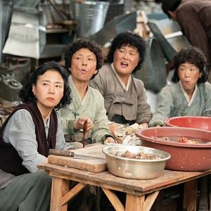 Foto Se a Vida Te Der Tangerinas…