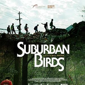 Foto Pássaros do Subúrbio