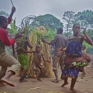 Foto Floresta dos Espíritos Dançantes