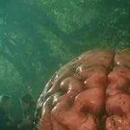 Foto Cúpula do Caos